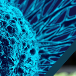 Big Ideas: Dr. Alan Friedman, M.D.
